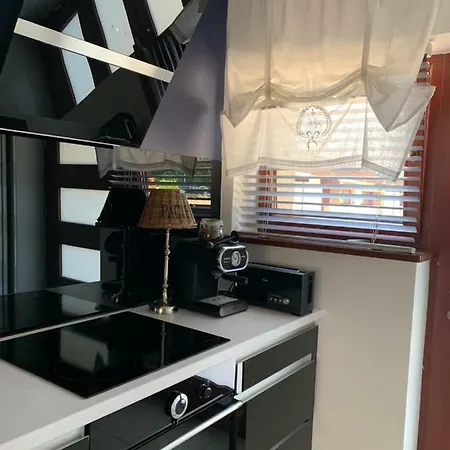 Apartament Wisełka